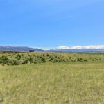 5835 Spaulding Bridge Road