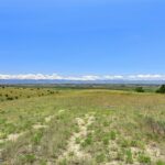 Belgrade MT 59714 - 24