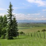 Belgrade MT 59714 - 12
