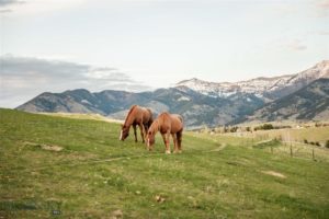 5891 Sypes Canyon Road, Bozeman, MT