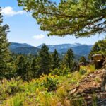 Bozeman MT 59715 - 13