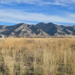 6114 SPRINGHILL Road