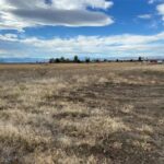 6114 SPRINGHILL Road