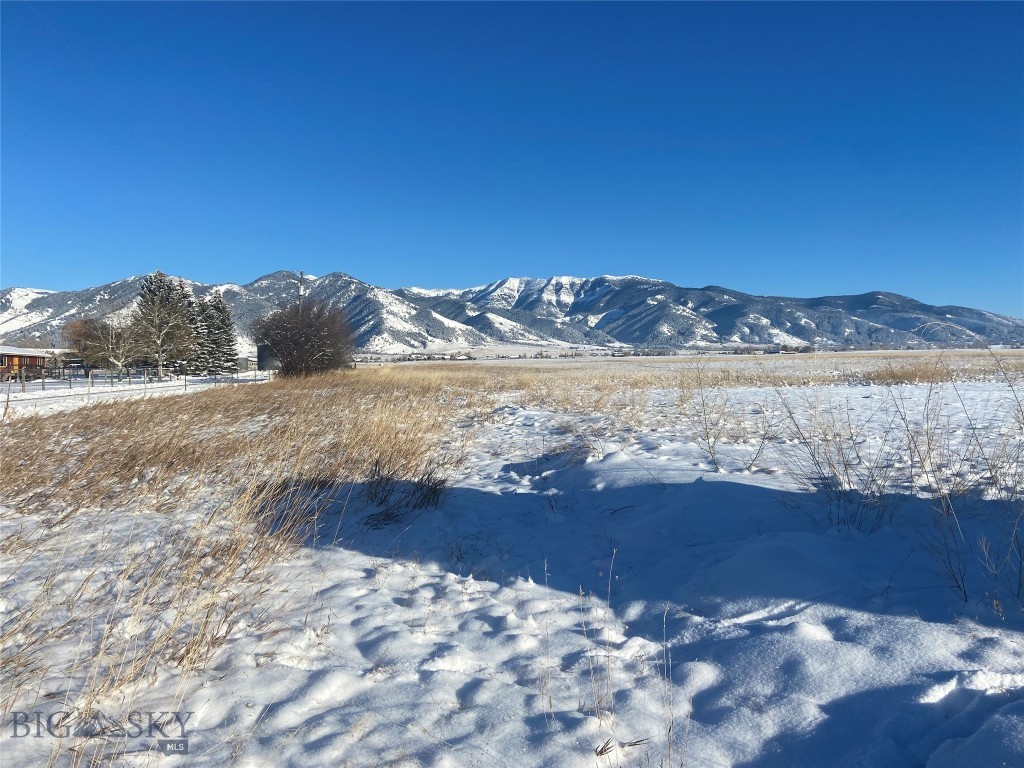 6114 SPRINGHILL Road