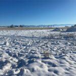 6114 SPRINGHILL Road