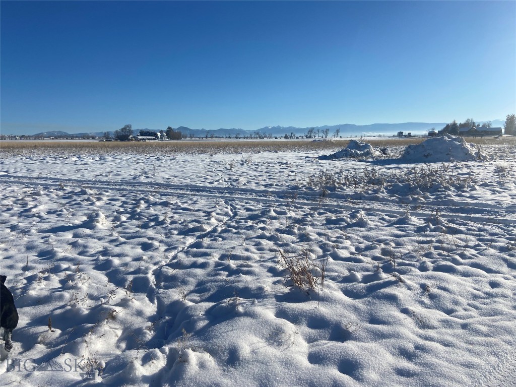 6114 SPRINGHILL Road