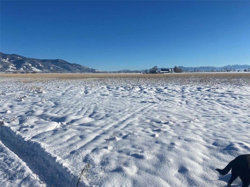 Belgrade MT 59714 - 7