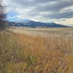 6114 SPRINGHILL Road