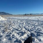 Belgrade MT 59714 - 10