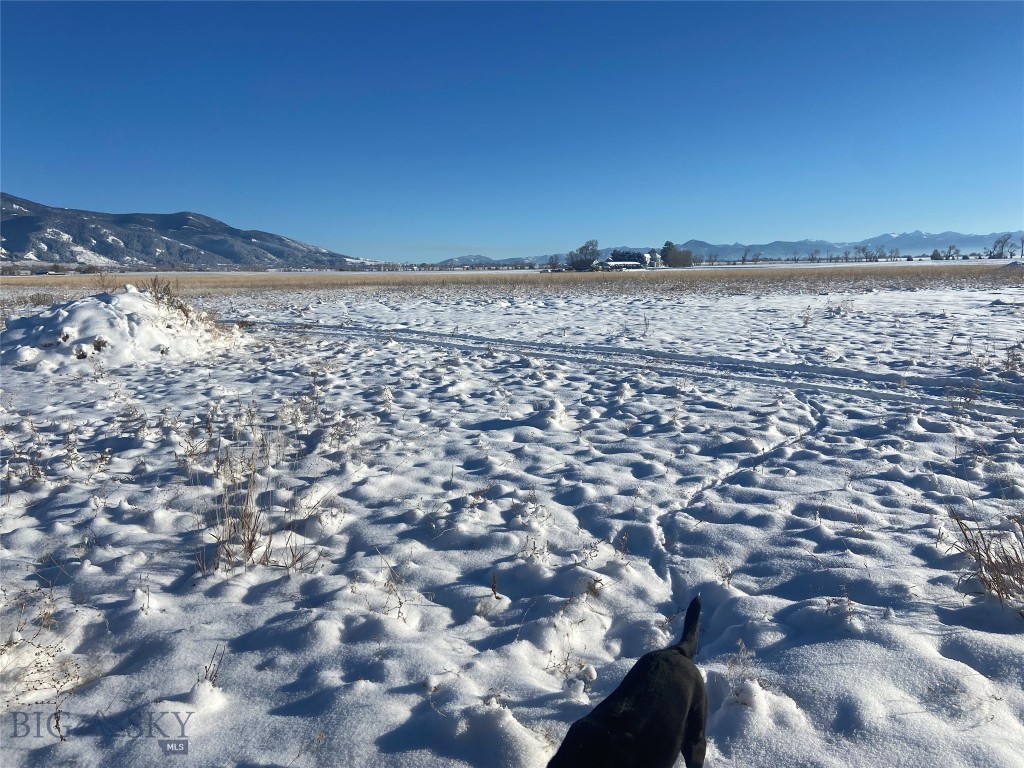 Belgrade MT 59714 - 10