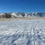 6114 SPRINGHILL Road