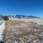 6114 SPRINGHILL Road