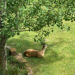 Bozeman MT 59715 - 24