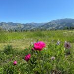 Bozeman MT 59715 - 25