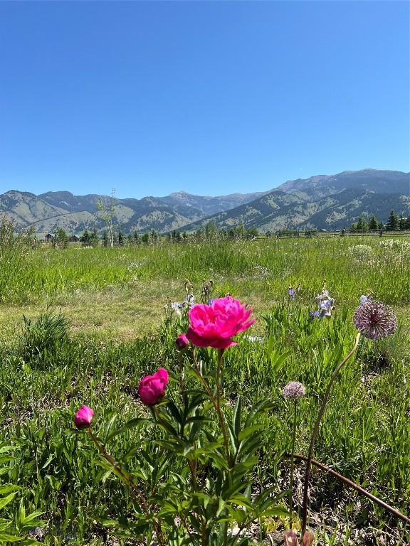 Bozeman MT 59715 - 25