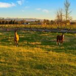 Bozeman MT 59718 - 4