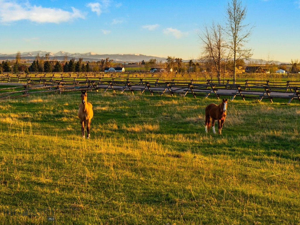 Bozeman MT 59718 - 4