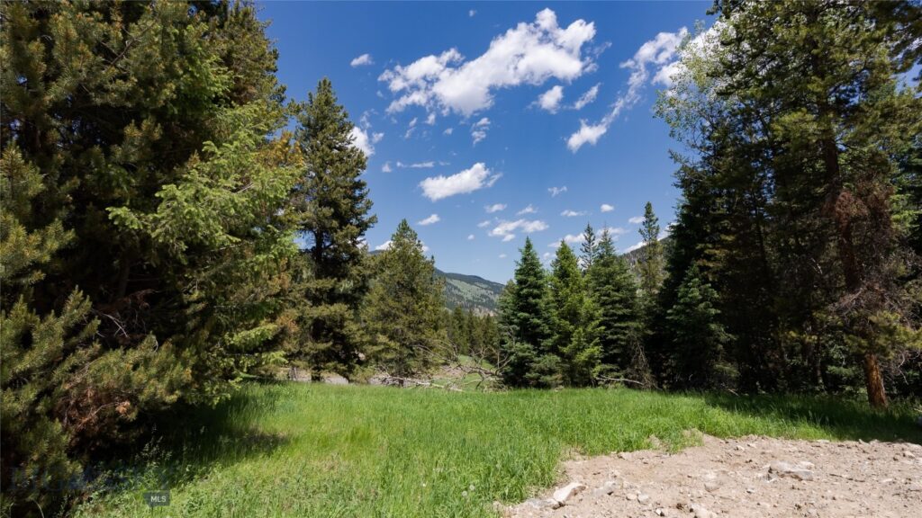 Big Sky MT 59716 - 2