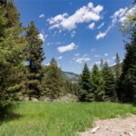 Big Sky MT 59716 - 2
