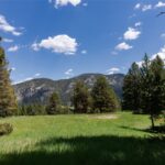 625 Colters Run Loop