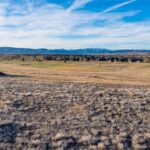 Bozeman MT 59718 - 7