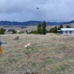 Bozeman MT 59715 - 10