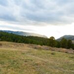 Bozeman MT 59715 - 15