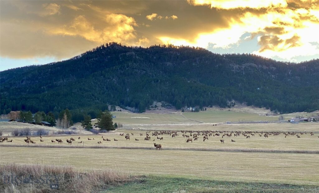 Bozeman MT 59715 - 8