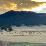 Bozeman MT 59715 - 8