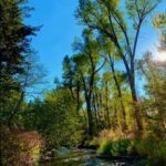 Bozeman MT 59715 - 9