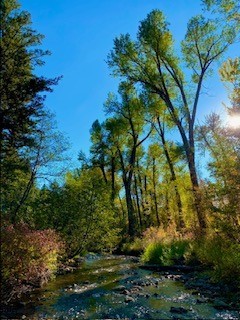 Bozeman MT 59715 - 9