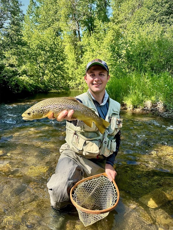 Bozeman MT 59715 - 17