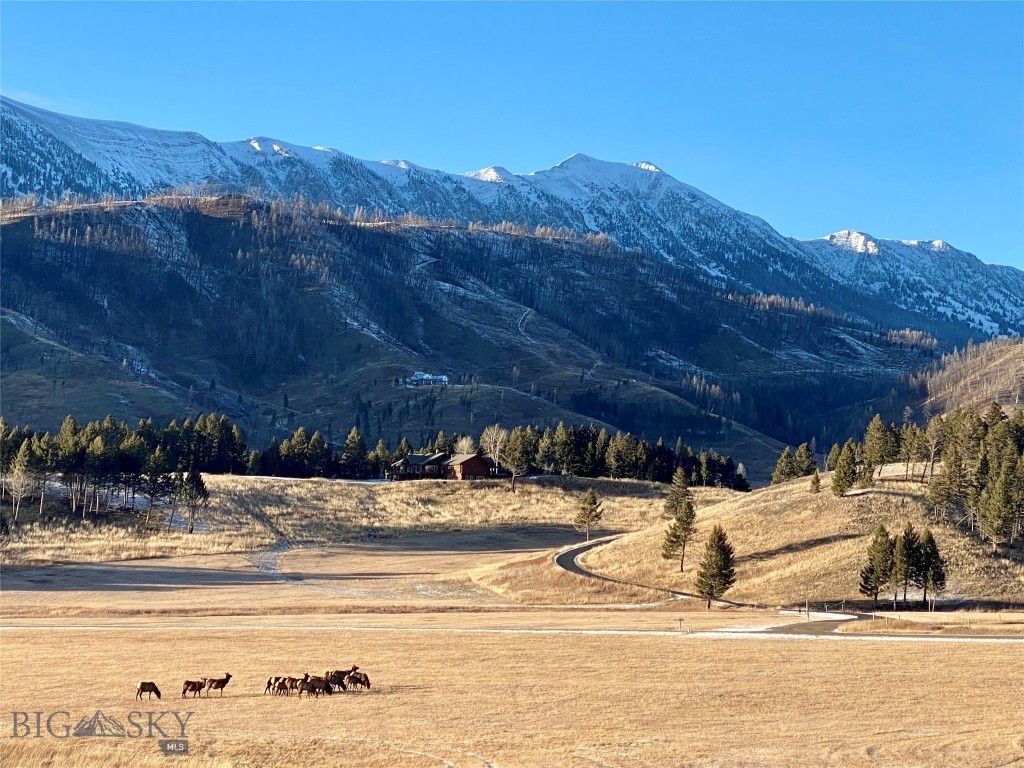 Bozeman MT 59715 - 20