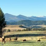 Bozeman MT 59715 - 21