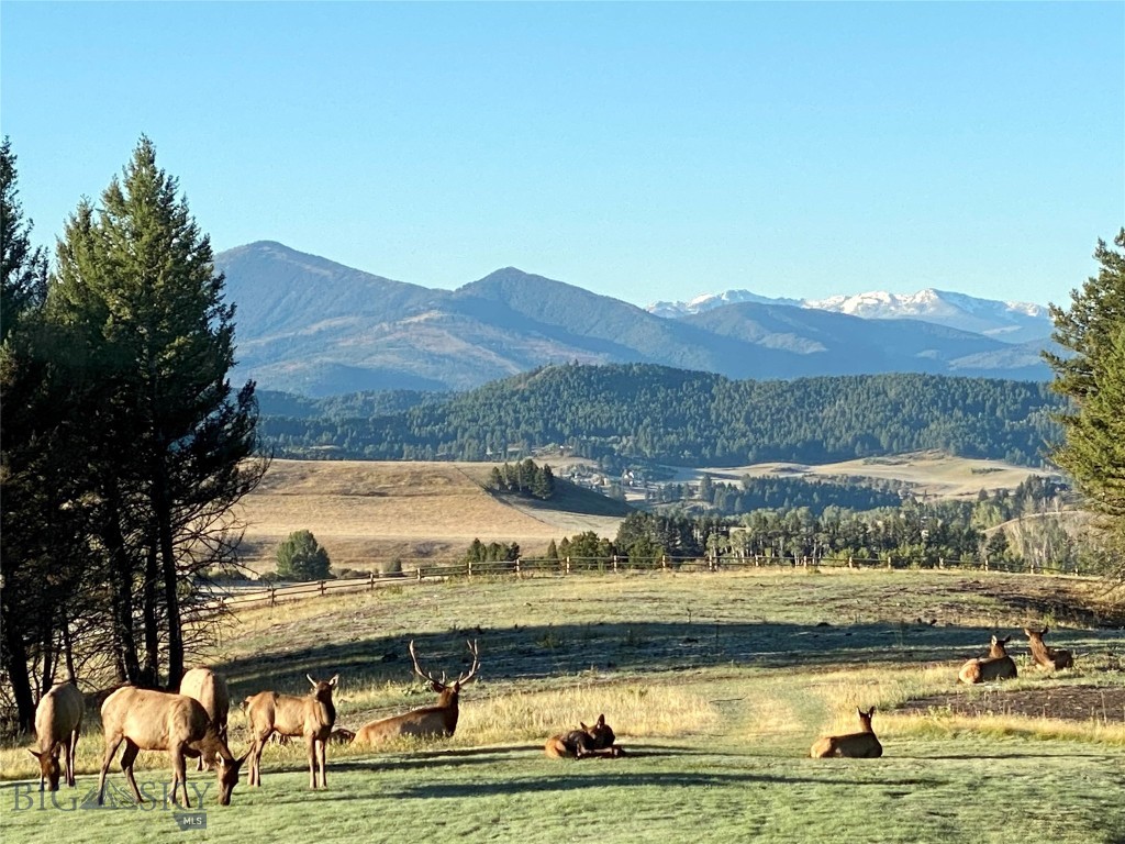 Bozeman MT 59715 - 21