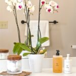 Bozeman MT 59718 - 15