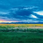 Bozeman MT 59718 - 5