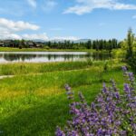 Bozeman MT 59718 - 22