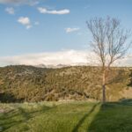 Belgrade MT 59714 - 25