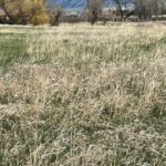 7056 E Baseline