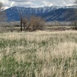 Belgrade MT 59714 - 5