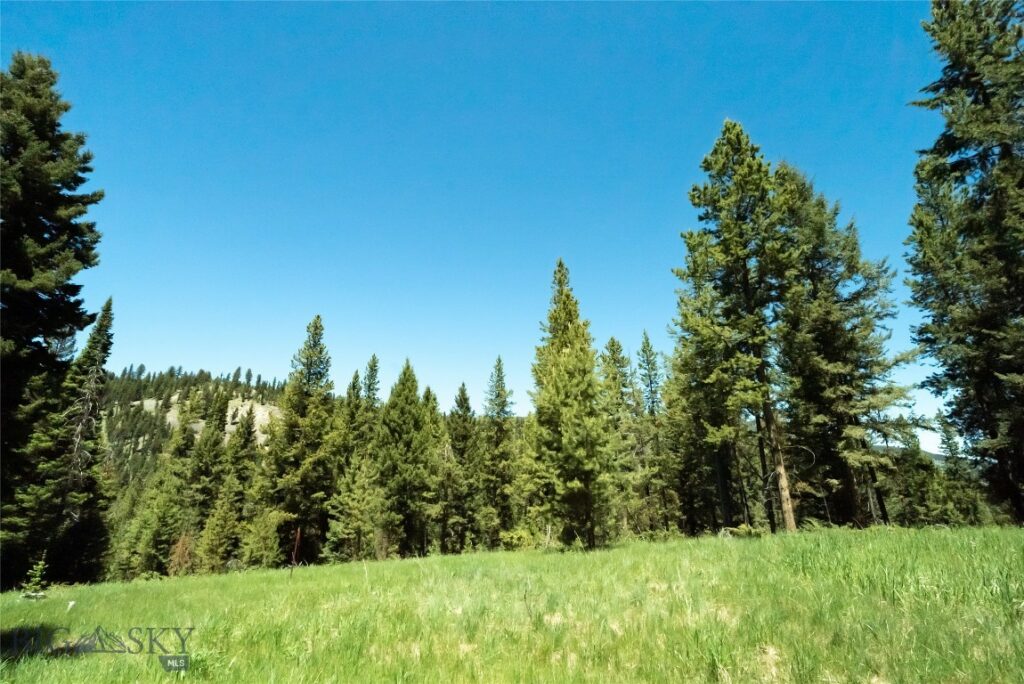 715 Colters Run Loop