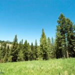 715 Colters Run Loop