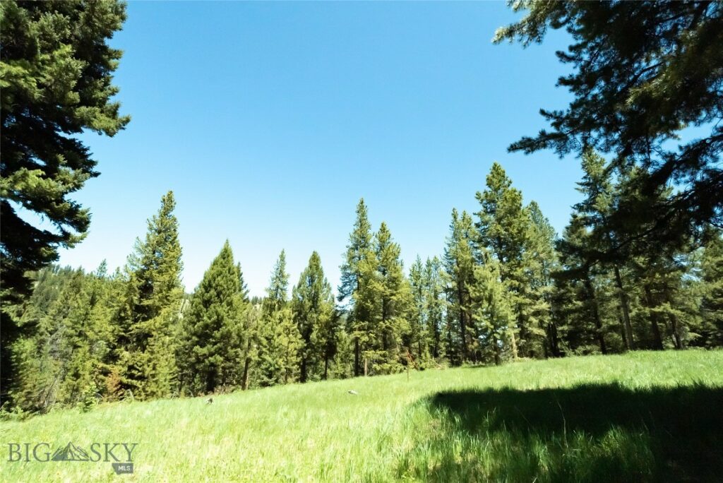 Big Sky MT 59716 - 6