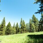 Big Sky MT 59716 - 6