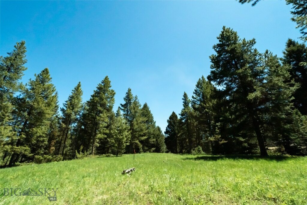 715 Colters Run Loop