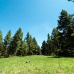 715 Colters Run Loop