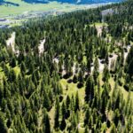 715 Colters Run Loop