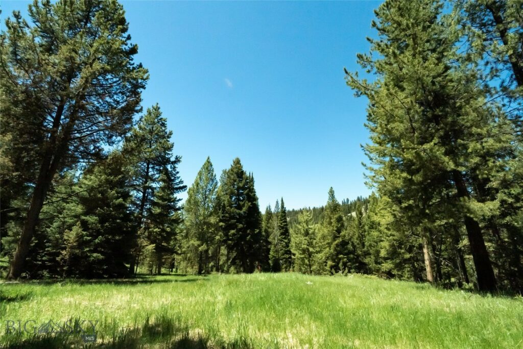 Big Sky MT 59716 - 5