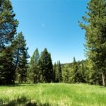 Big Sky MT 59716 - 5